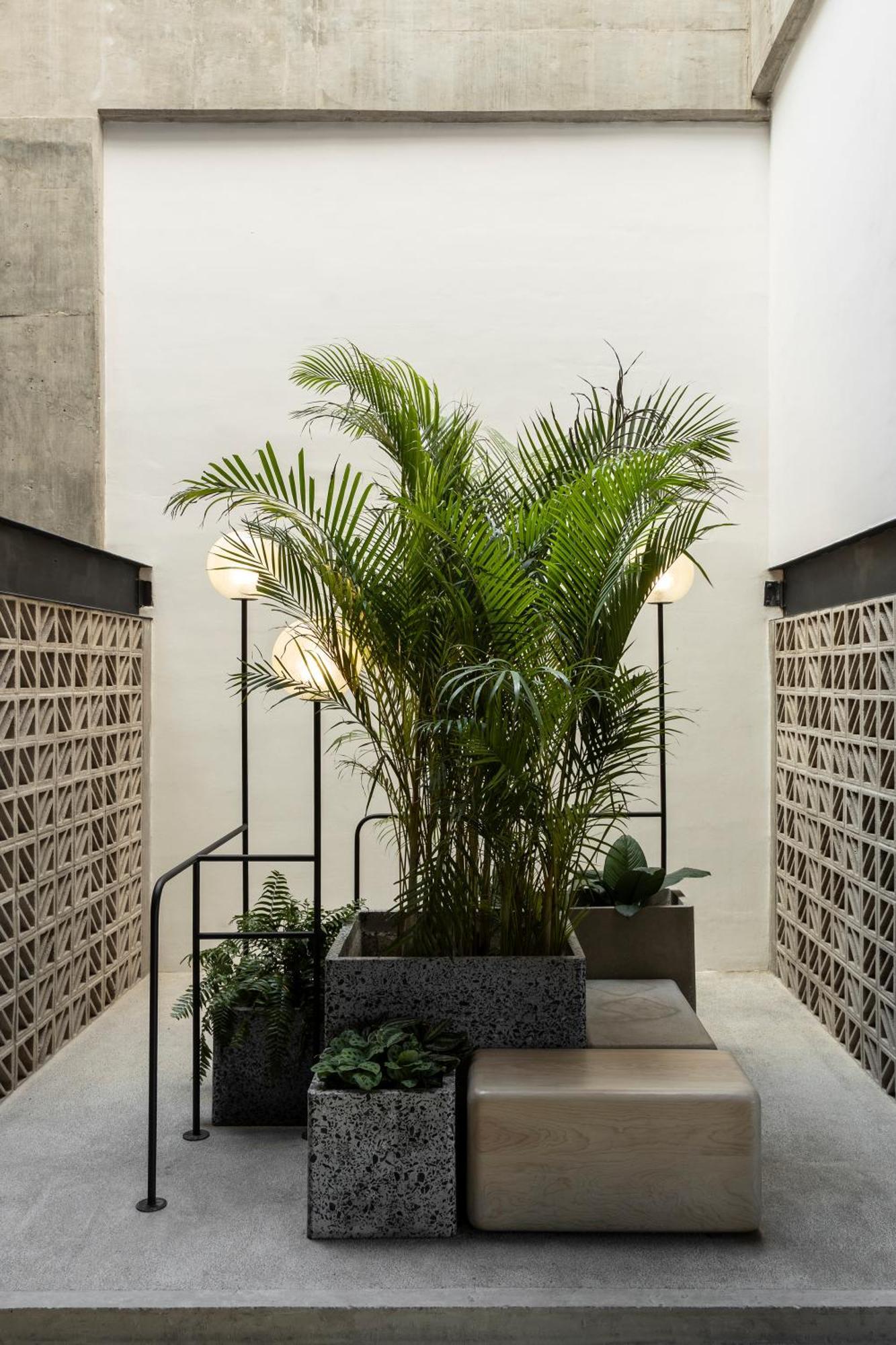 Tribeca Flat Witgdl Lejlighedshotel Guadalajara Eksteriør billede